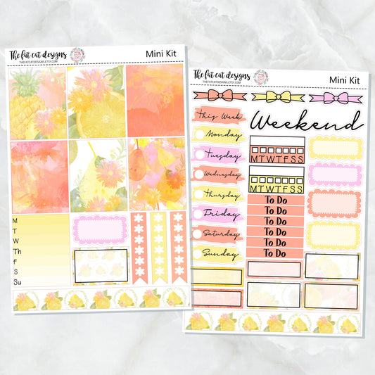 Watercolor Fruit Mini Planner Sticker Kit for the Printpression B6 Travelers Notebooks